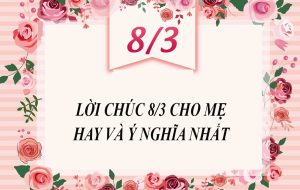 Những lời chúc 8 3 cho phái nữ ý nghĩa nhất