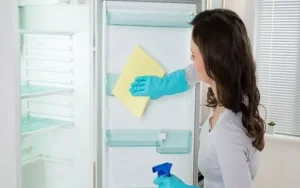cách khử mùi tủ lạnh lâu ngày không dùng