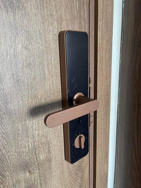 Khóa cửa thông minh Xiaomi Lockin X1 - Màu đen