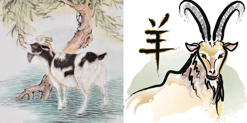 Trong 12 con giáp con nào khổ nhất - tuổi Mùi