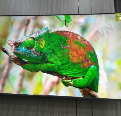 Tivi Xiaomi S Pro 65 Mini LED 65 Inch