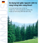 giay ve sinh tu tan 11 2