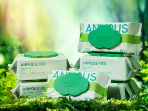 Giấy vệ sinh ướt Anmous tự tan, kháng khuẩn vượt trội – An toàn cho vùng kín, da nhạy cảm (80 tờ)