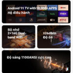 phonghoavn may chieu wanbo x50 pro chinh hang 2 1