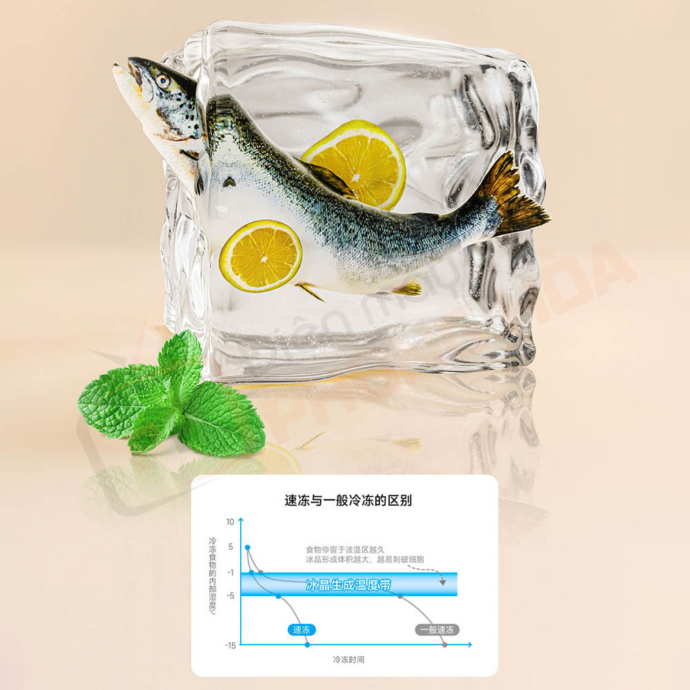 tu lanh 4 canh xiaomi mijia 439l 16 Cấp đông nhanh 7kg/12h – đông tới 14kg thịt mỗi ngày, lý tưởng để trữ thực phẩm số lượng lớn.