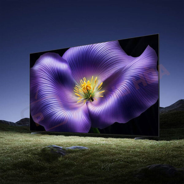 Tivi Xiaomi S Pro 65 Mini LED 2026
