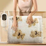 chan dien hai mat jipin graphene 22 1