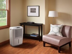 Mua máy hút ẩm ở Hà Nội