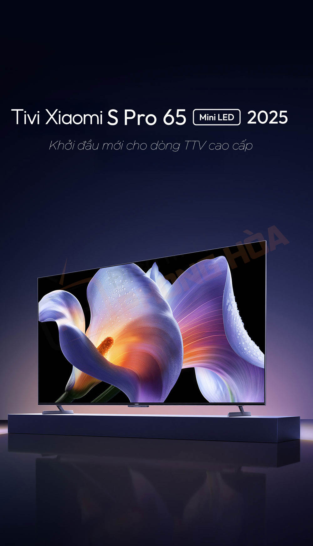 tivi xiaomi s pro mini led 65 inch 2025 1 Tivi Xiaomi S Pro Mini LED 65 inch 2025