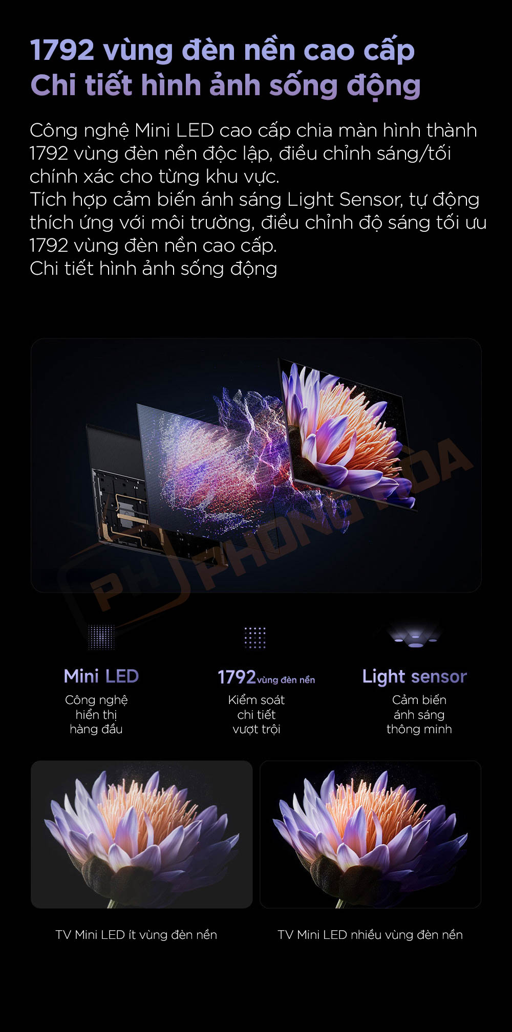 tivi xiaomi s pro mini led 65 inch 2025 3 Tivi Xiaomi S Pro Mini LED 65 inch 2025