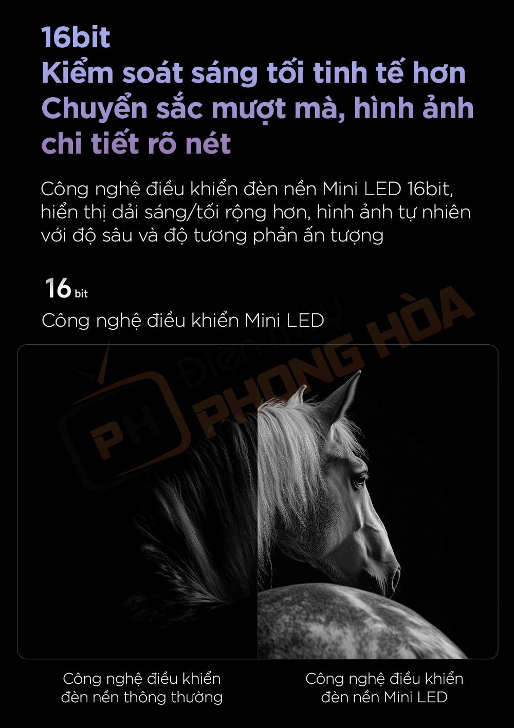 tivi xiaomi s pro mini led 65 inch 2025 6 Tivi Xiaomi S Pro Mini LED 65 inch 2025