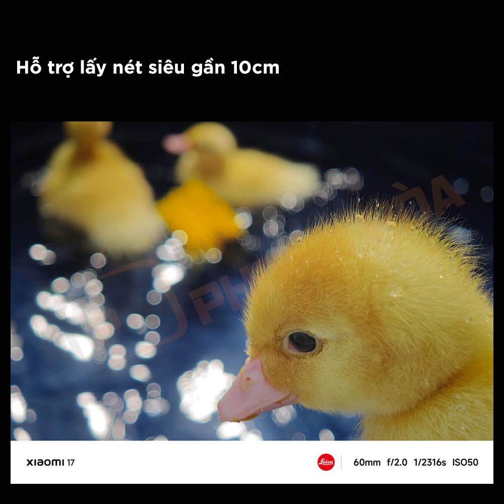 xiaomi 17 22 xiaomi 17 22