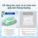 khan uot tu tan anmous 2026 2