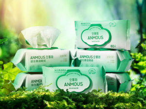 Giấy vệ sinh ướt Anmous tự tan – Bổ sung lợi khuẩn, kháng khuẩn an toàn cho vùng kín và da nhạy cảm (Mẫu mới 80 tờ)