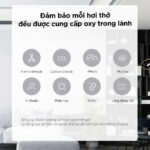 Artboard 24 2 Artboard 24 2