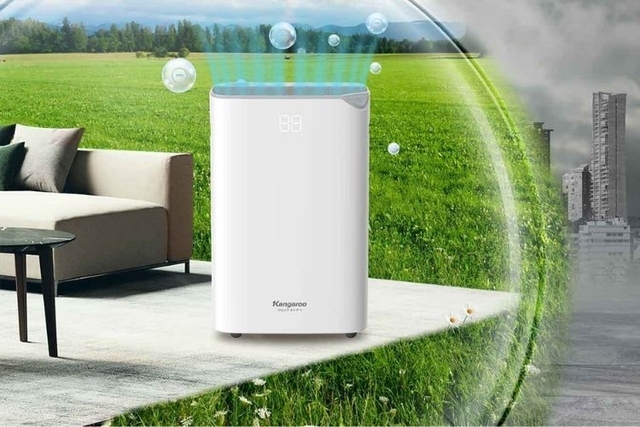 Máy hút ẩm Hải Phòng