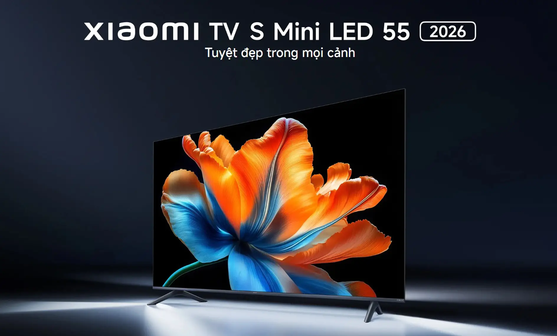 smart tivi xiaomi s mini led 2026 18 smart tivi xiaomi s mini led 2026 18